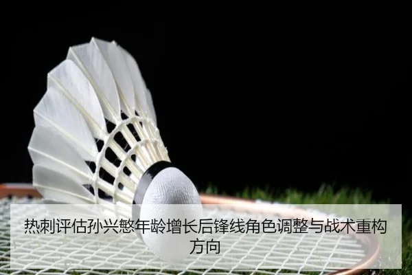 re-ci-ping-gu-sun-xing-min-nian-ling-zeng-zhang-hou-feng-xian-jue-se-tiao-zheng-yu-zhan-shu-zhong-gou-fang-xiang-2-258.jpg